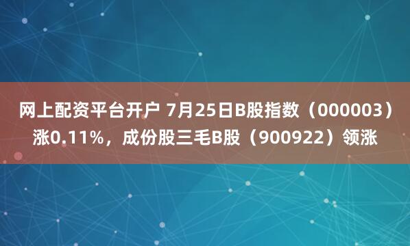 网上配资平台开户 7月25日B股指数（000003）涨0.11%，成份股三毛B股（900922）领涨